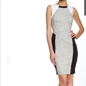 T Tahari Pria Dress. New with tags!